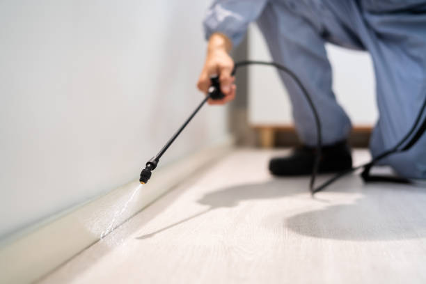 Rodent Entry Point Assessment in Roslyn Heights