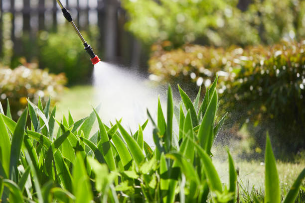 Tamper-Resistant Bait Stations for Rodents in Roslyn Heights