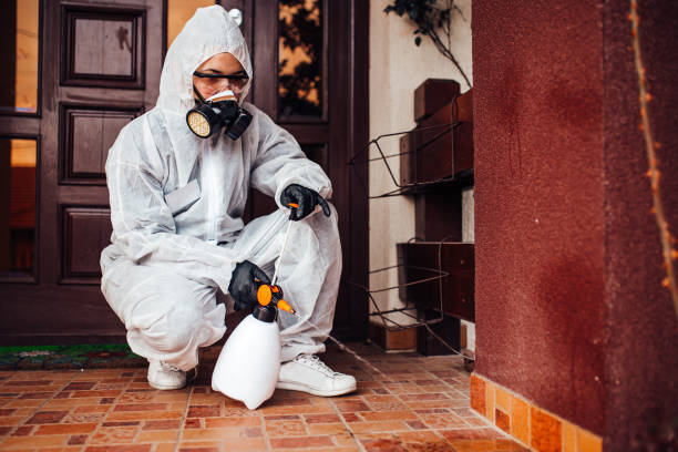 Attic and Crawl Space Rodent Treatment in Roslyn Heights
