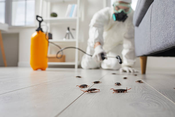 Commercial Rodent Management in Roslyn Heights